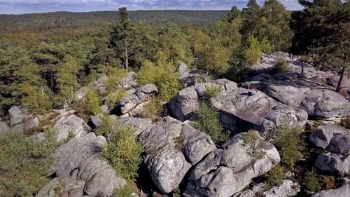 Nationale à Fontainebleau - l'avant-course banner