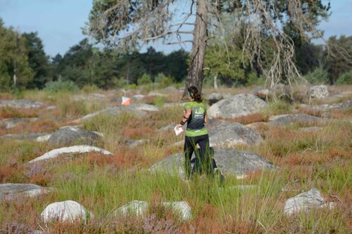 Nationale à Fontainebleau - Le débrief banner
