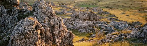 CNE 2021 - L'avant-course banner